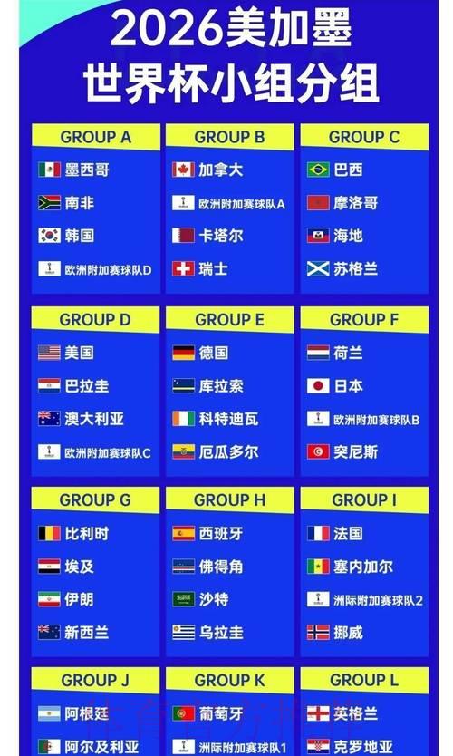全面剖析2026年世界杯投注赔率走势变化